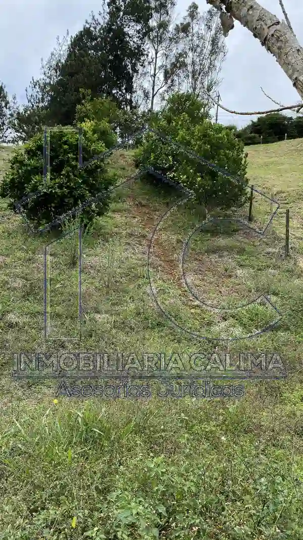 Lote 15 Bosques del Calima